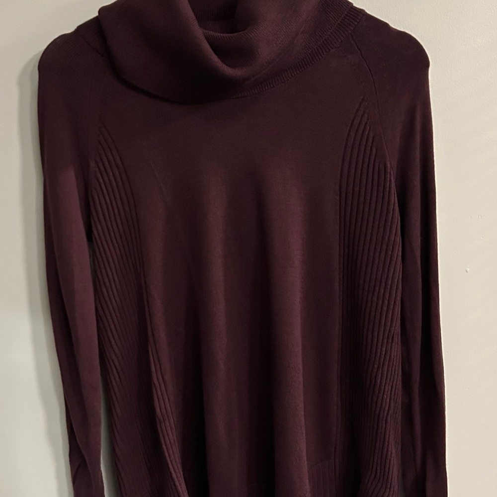 Loft turtleneck maroon